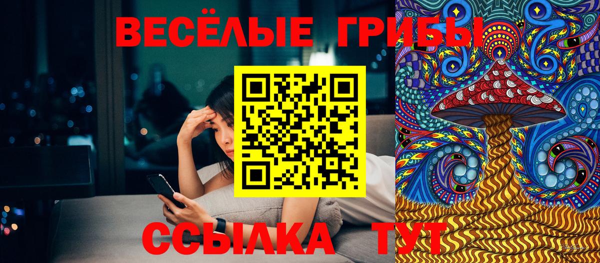 Чебоксары  Псилоцибиновые грибы мицелий  Вход с VPN 
